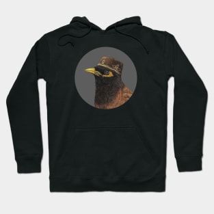 Common myna Hoodie